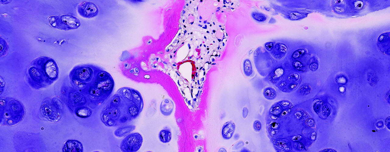 Scientific Imaging